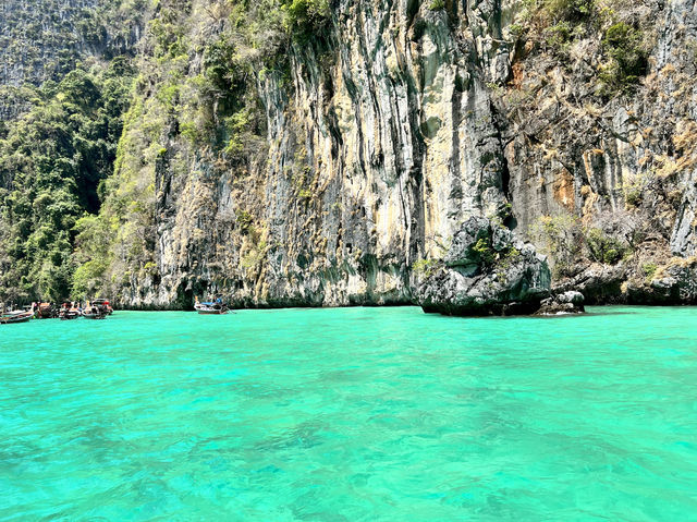 Meet the Jelly Sea