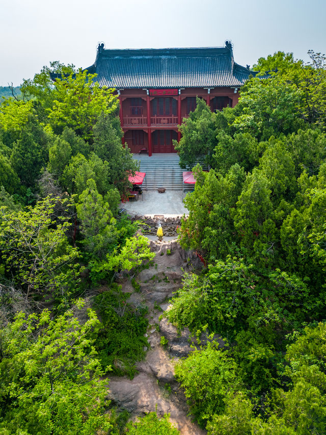 Xuzhou's misty forest is so beautiful, why isn't anyone going there? 🥺