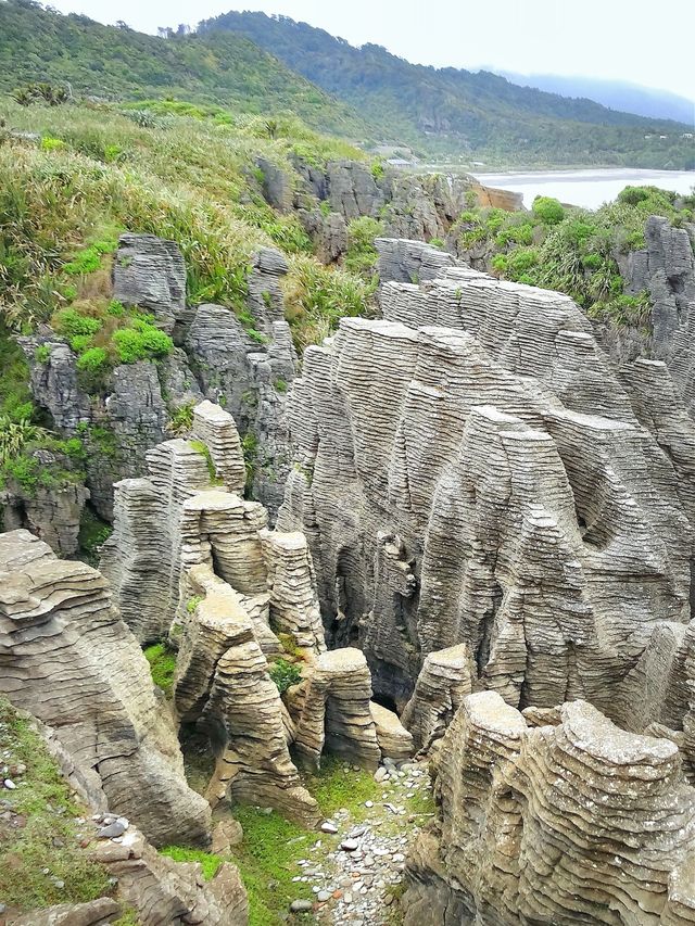 新西蘭南島：格雷茅斯/千層薄餅岩