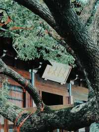 宁波遊玩好去處丨香山教寺