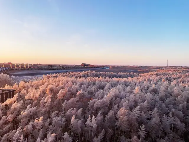 겨울의 붉은 해변