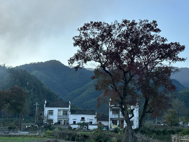 三天兩夜塔川宏村遊