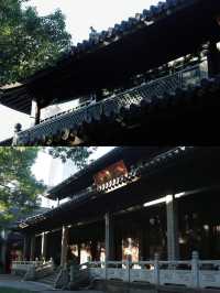 寧波遊玩推薦丨七塔禪寺