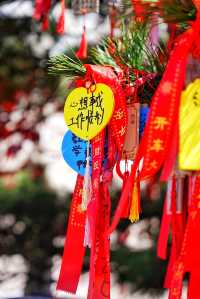 臨沂旅行｜來世界最大山體雕刻，祈福蒙山壽仙