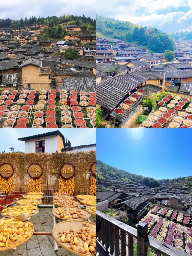 Why come to Guifeng Village?