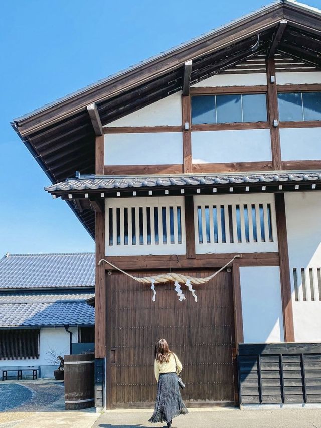 グルメと絶景スポットを巡る茨城旅🌱