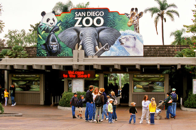 如何玩轉聖地牙哥野生動物園，景點介紹和遊玩指南