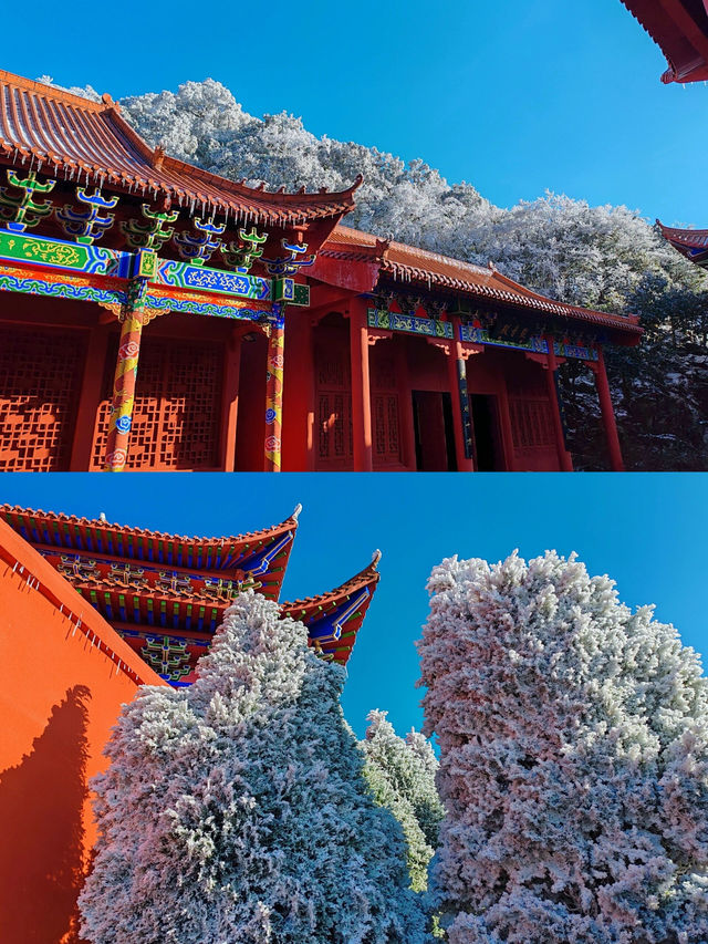 不是衡山去不起!!而是陽明山更有性價比