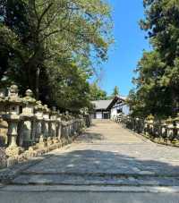 日本奈良東大寺｜有爭議的古建築