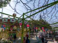 溫冬裡東湖磨山風景區一日遊