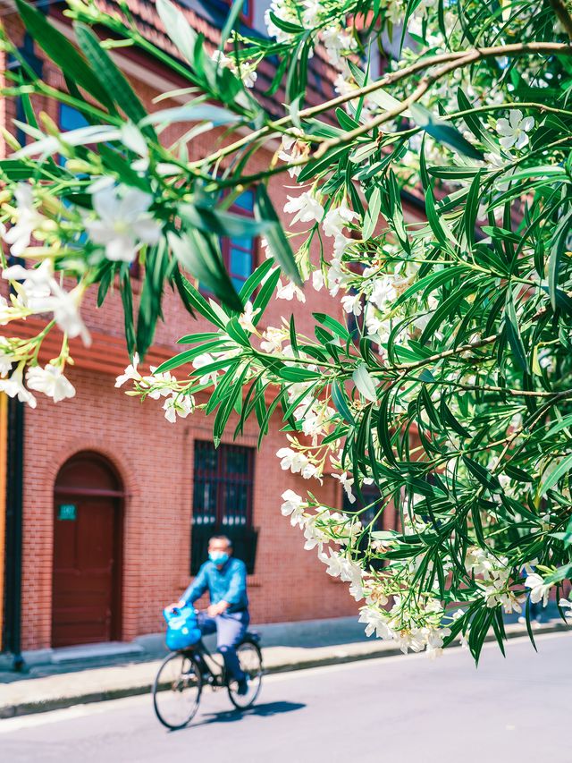 上海最嗲馬路—虹口馬路