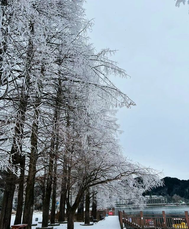 九宮山初雪|武漢周邊不容錯過的霧凇美景