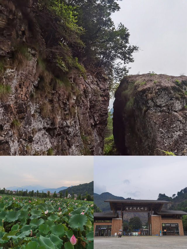 “納涼”寶地白水洞 尋25℃的夏天！