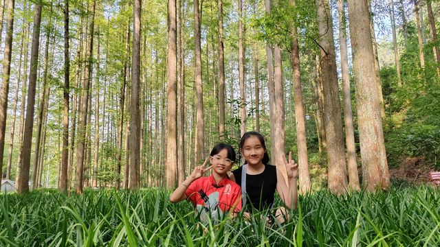 排牙山：森林小氣候大自然空調休閒好去處