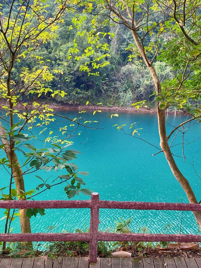 廣州一肇慶|鼎湖山一日遊|吸口仙氣