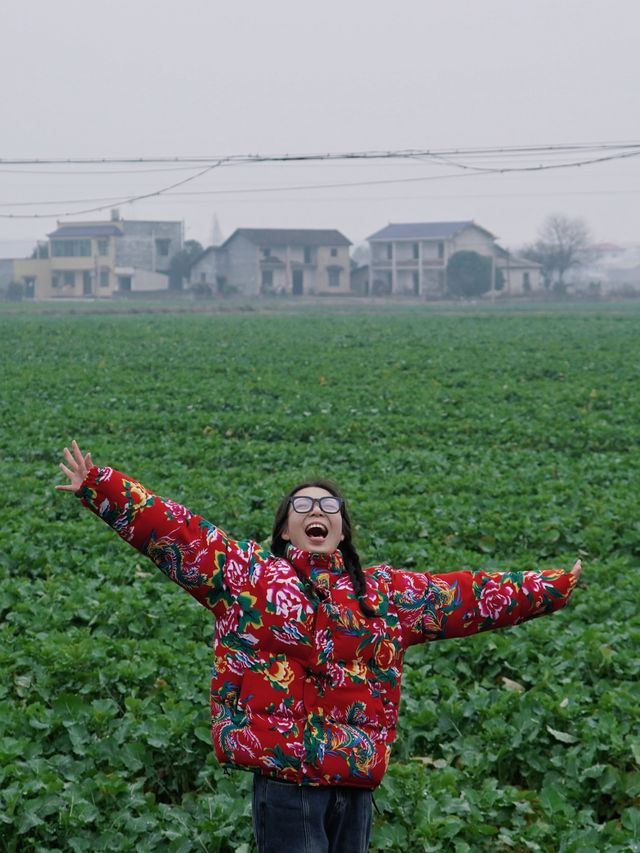 當東北大花襖遇上南方油菜田！