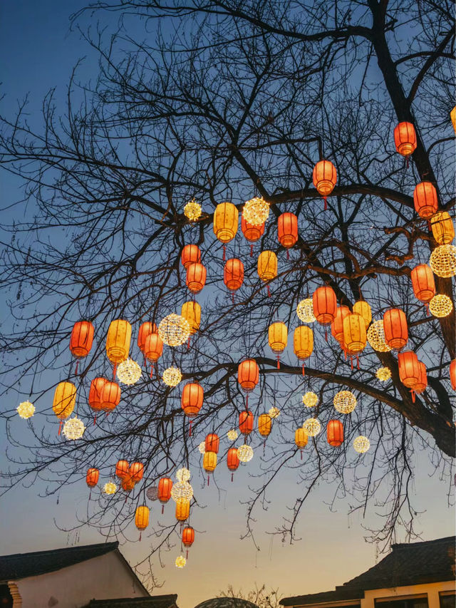西溪濕地花燈，孤獨又浪漫，獨屬杭州的驚豔