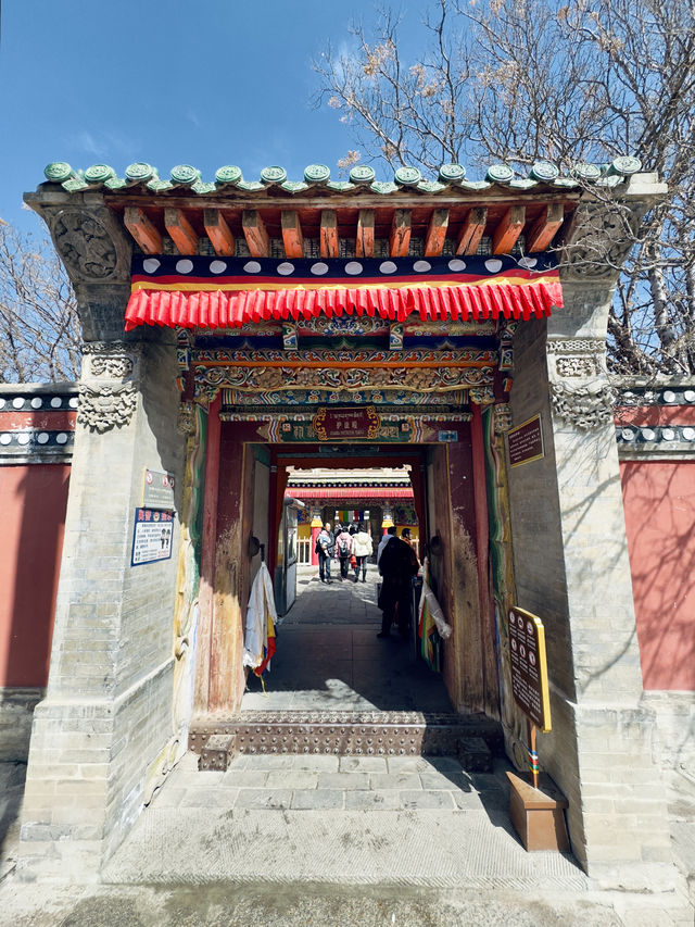 西寧旅行-藏傳佛教聖地｜塔爾寺