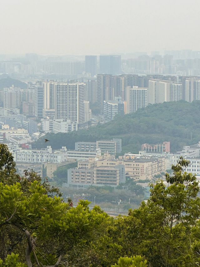 深圳帶娃登山徒步📍鳳凰山祈福實況|||早上出門是潮濕的陰天