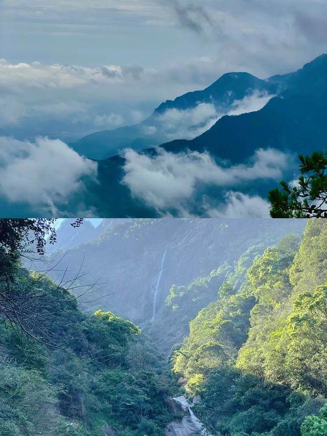廬山|發現了比瀑布更治癒的綠光森林