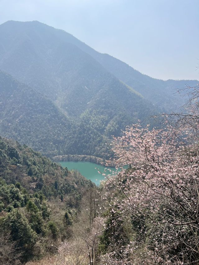 杭州親子踏春好去處！賞櫻+觀景+親子樂園