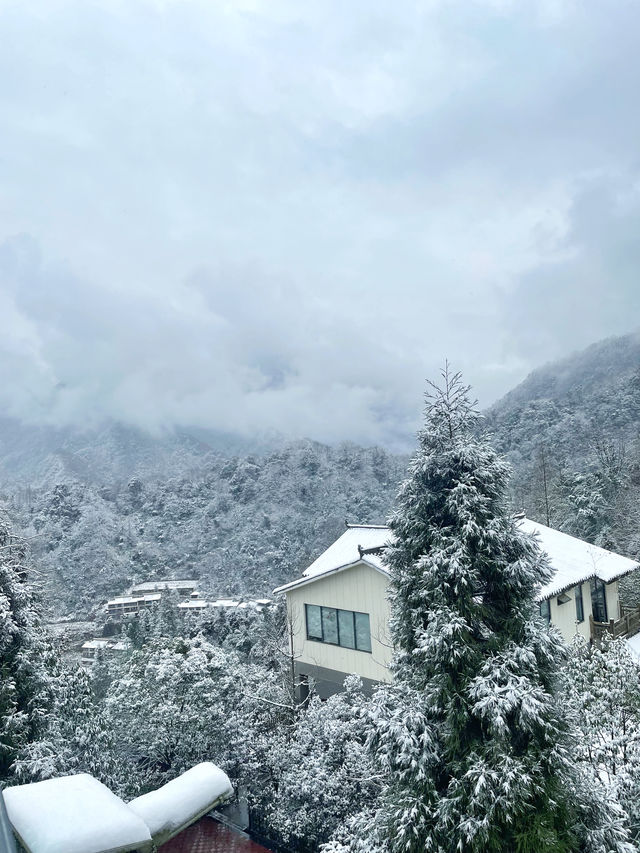 張萬森 青城山下雪啦