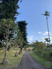 沖繩·東南植物樂園｜赴一場童話般的綠野仙蹤