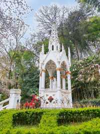 春遊松江 佘山國家森林公園挺美的！