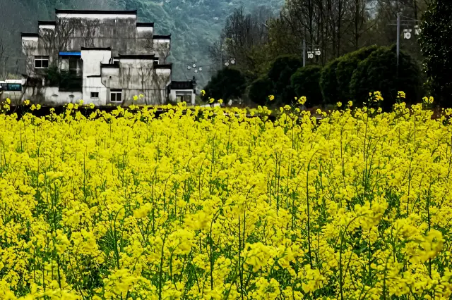 歴渓古村に行く価値がある