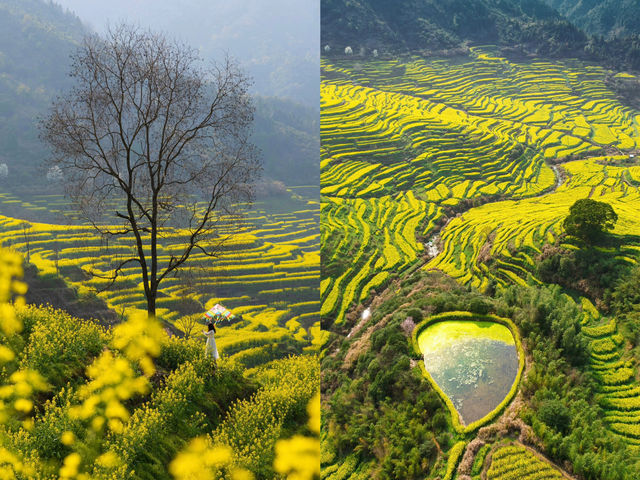 國家地理稱為詩畫天堂-婺源