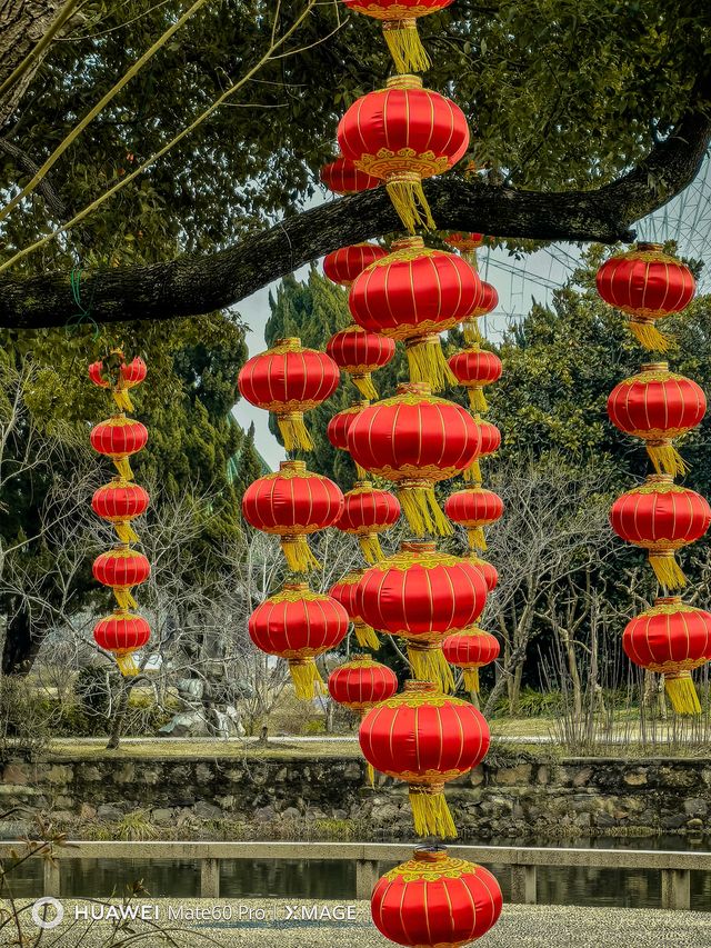 蠡園新年紅