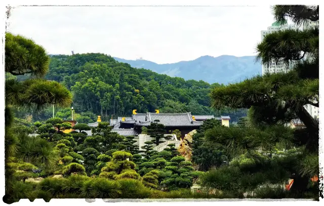 The Tang-style temple is a rare sight