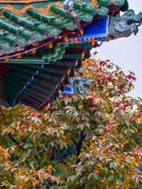 秋天去一趟西安華清宮，感受詩情畫意