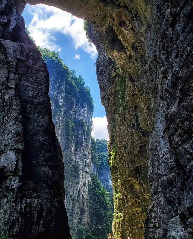 計劃來重慶旅遊的寶子，快來碼住這篇攻略|||