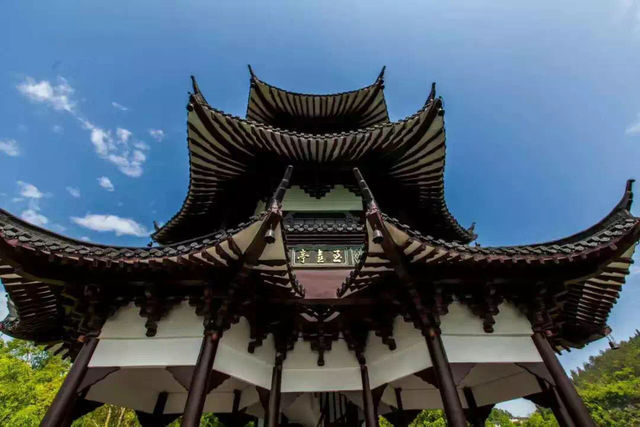 陽春三月，來夷陵遇見驚喜