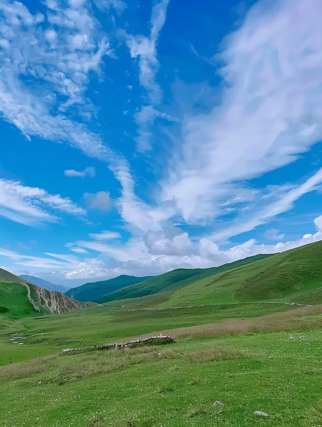 Chasing the Wind and Freedom: The Magnificent Tapestry of Hui Ze County's Da Haicao Mountain