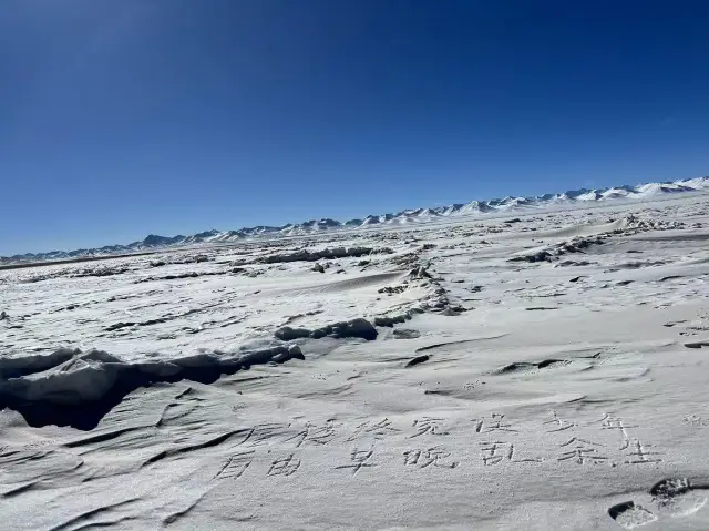 西藏阿里大北線219環遊