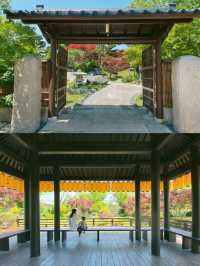 固城灣開元遛娃攻略