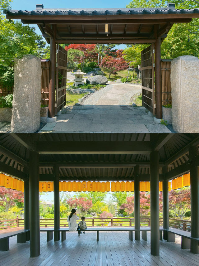 固城灣開元遛娃攻略