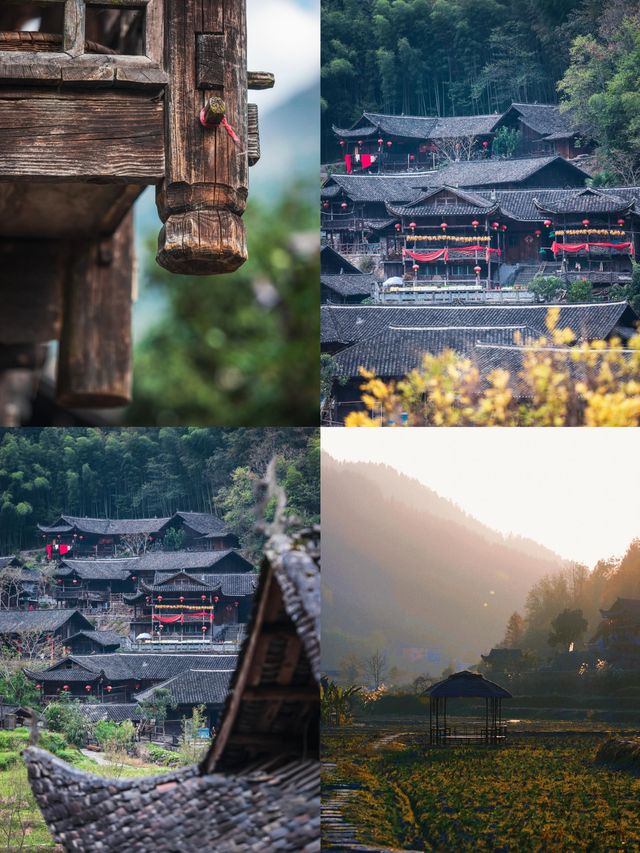 最令人驚喜的是那一望無際的茶園
