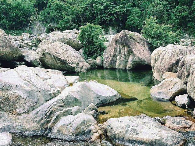 五一魯山，闖入杜鵑花海仙境！