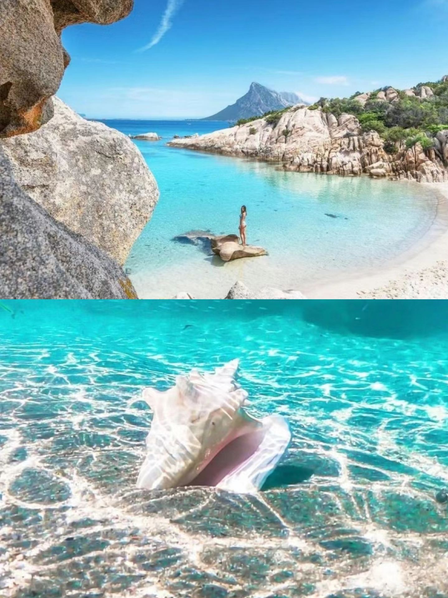 Sardinia, the only jelly sea on Earth!