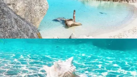 Sardinia là nơi có biển thạch duy nhất trên trái đất! — traveler post in Alghero