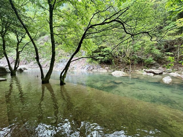 反向旅遊真香|陳情令取景地磐安百丈潭