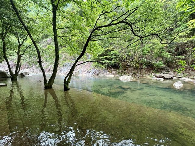 反向旅遊真香|陳情令取景地磐安百丈潭