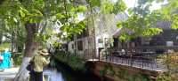 歇馬橋3