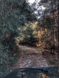 一定要去的騰沖高黎貢山