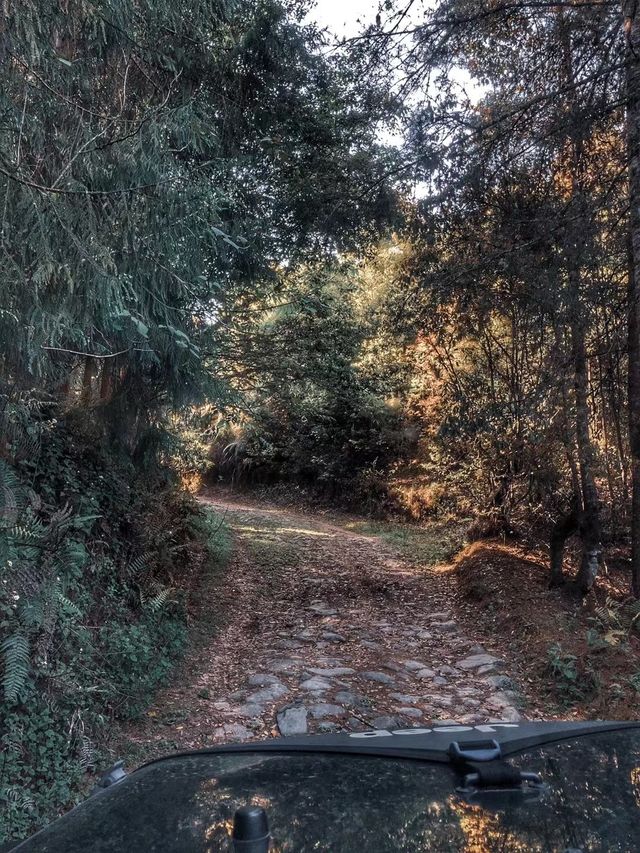 一定要去的騰沖高黎貢山