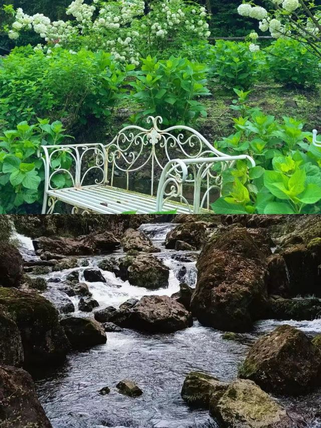 雅安龍苍溝疊翠溪風景區