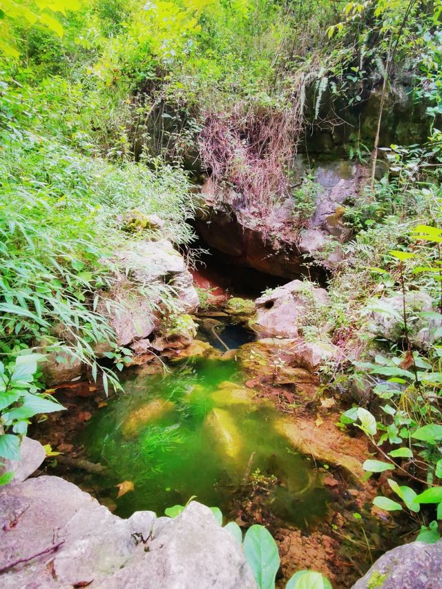 貴州寶藏旅行地 |_紫雲格凸河風景名勝區